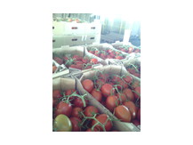 Томат-ветка